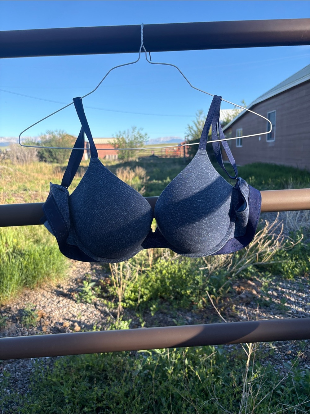 Victoria's Secret Navy T-Shirt Bra